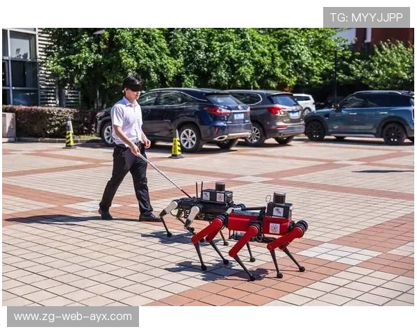 世界杯现场首次应用语音导盲系统支持视障人士