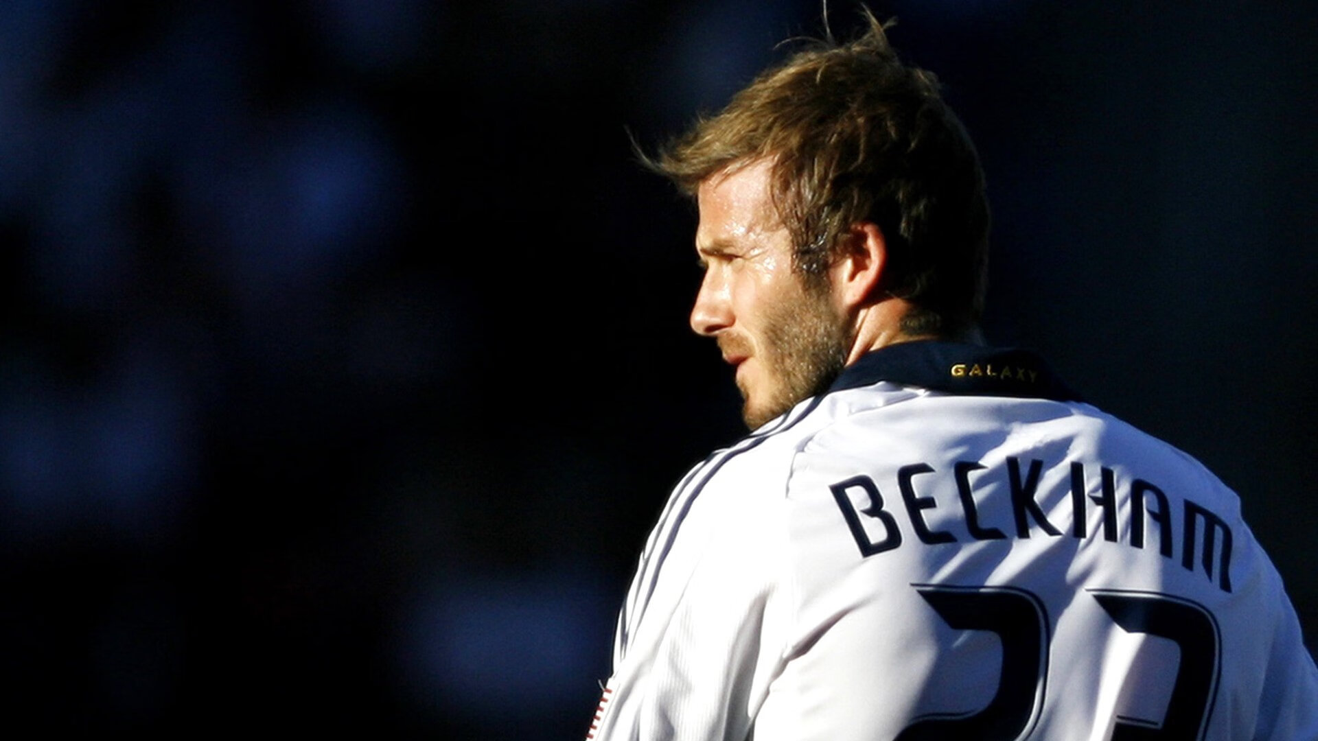 体育场馆金融产品创新案例进入政策试点名单,体育场馆营销创新