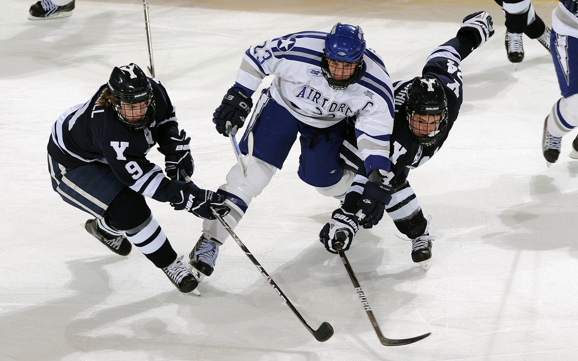 体育场馆金融产品创新案例进入政策试点名单,体育场馆营销创新